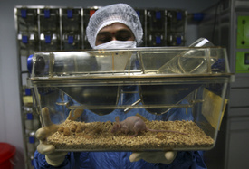 A Natco employee at their facility in Hyderabad, India